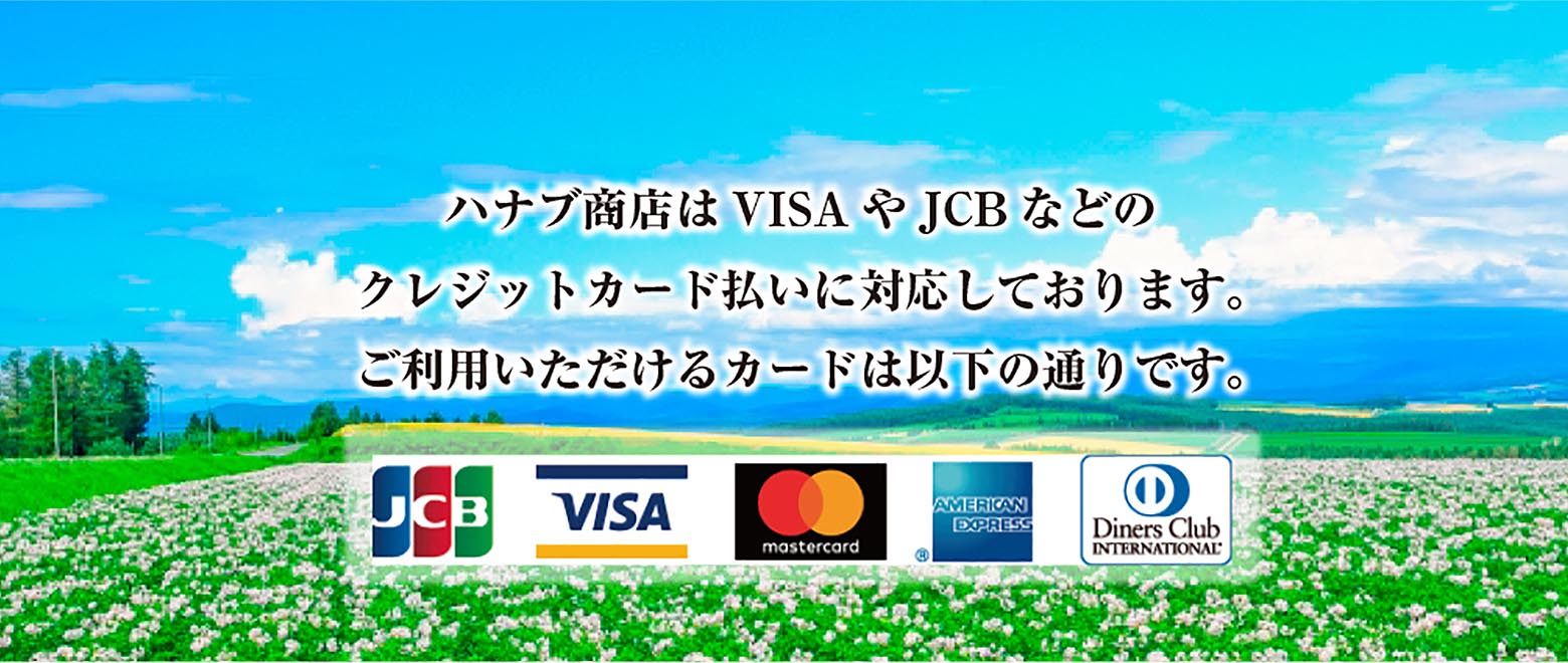 ハナブ商店はVISAやJCBなどのクレジットカード払いに対応しております。 ご利用いただけるカード：JCB,VISA,master,AmericanExpress,DinersClub