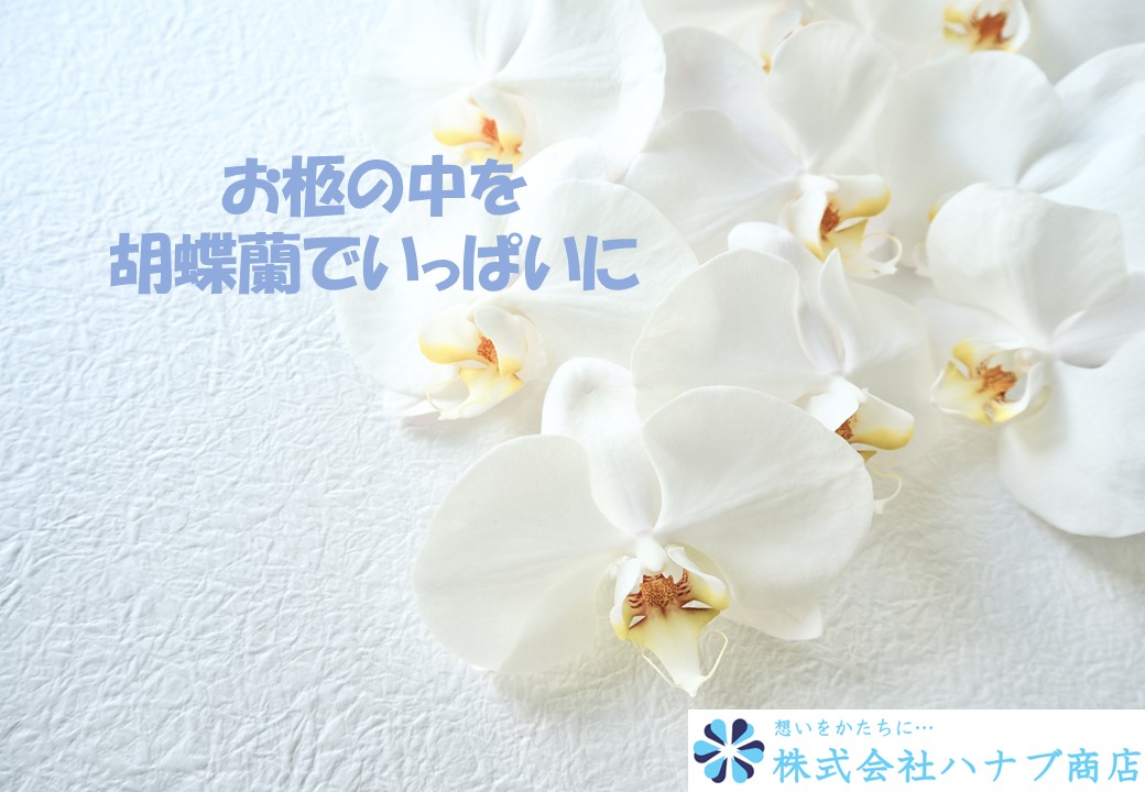 お柩の中を胡蝶蘭でいっぱいに